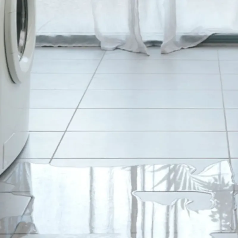Appliance Leak Cleanup in Hillsboro Beach, FL